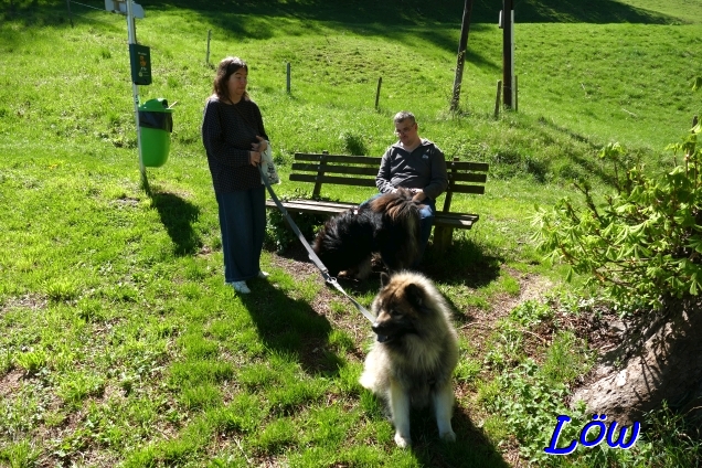 20.4.2025 - Rast bei der Piusallee